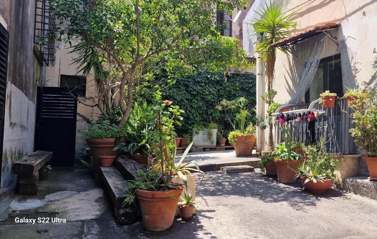 Apartment Myourhome Katanya Dış mekan fotoğraf