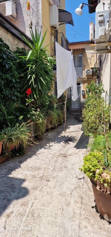 Apartment Myourhome Katanya Dış mekan fotoğraf